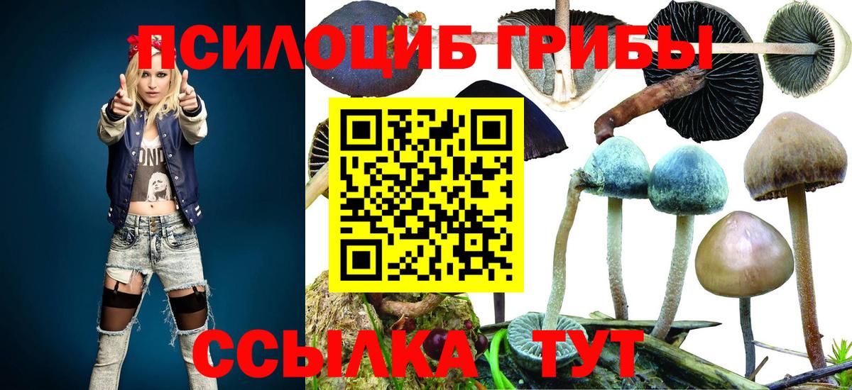 Галлюциногенные грибы ЛСД Кропоткин