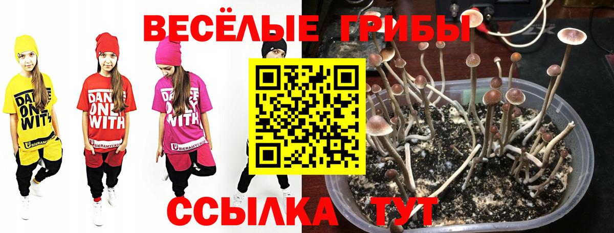 Псилоцибиновые грибы GOLDEN TEACHER  Вход с VPN  Кропоткин 